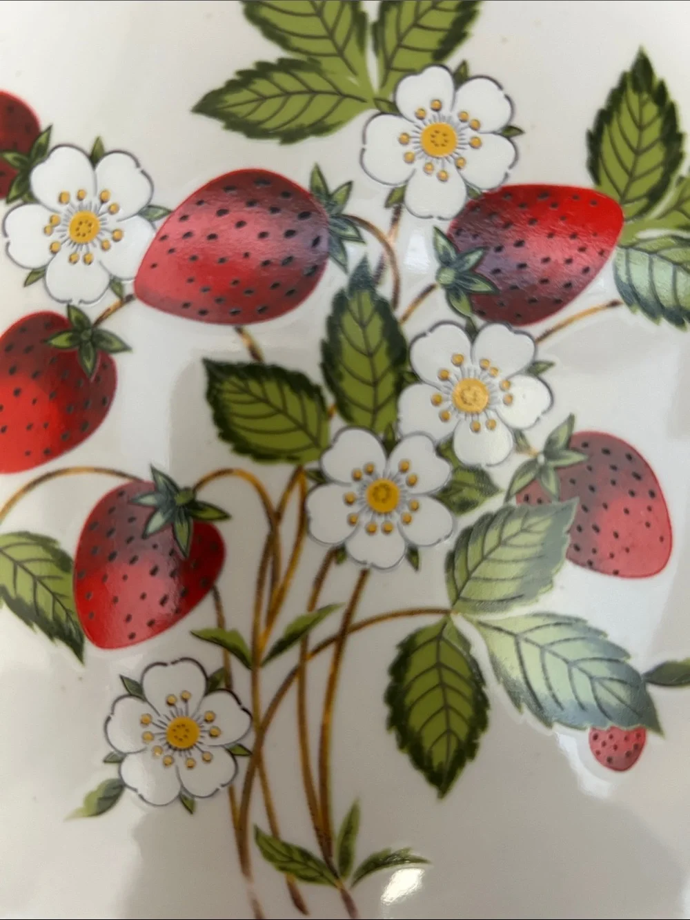 Sheffield Vintage Strawberries ‘n Cream Dinner Plates with Gold Rim, Set of Two